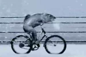 guinness Extra Cold - Fish on a Bicycle